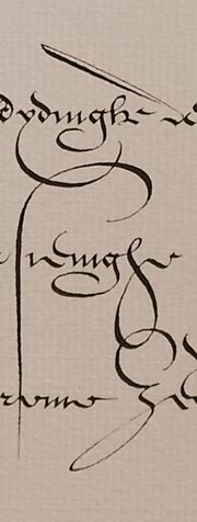calligraphie, lettre flamande courante, alphabets, lettres, stages et cours, mail-art, enveloppes calligraphies, logos, calligraphy